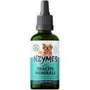 Minerali Traciti Nzymes® per animali domestici - Acido Fulvico, Acido Humico e Gocce minerali a base di Ferro e Aminoacidi per l'energia ATP e la salute digestiva - Made in the USA