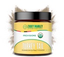 Ziggy Marley's USDA Organic Turkey Tail Mushroom Powder for Dogs & Cats – Support Immunity & Digestion – Estratto del corpo di fruttificazione, 90 Grammi