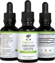 Tintura della radice dell'uva dell'Oregon Organico Premium - Estratto senza alcool, 1oz | Supporto erbe | Ziggy Health