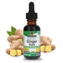 La risposta della natura Ginger Root Alcohol estratto libero 1 oncia | Supporta la funzione di stomach | Vegan | Vegetariano | Non OGM | Gluten Free