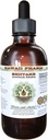 Estratto di liquido senza alcool di Shiitake, Shiitake organico (Lentinula Edodes) Dried Mushroom Glycerite Natural Herbal Supplement, Hawaii Pharm, USA 2 fl.oz