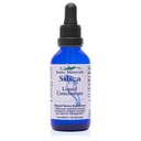 Concentrato minerale di silice liquido Eidon - Supplemento di silice per capelli, pelle e unghie, gocce per sostenere la produzione di collagene, aiuta a gestire il calcio, senza aggiunta di zucchero - 2 oz