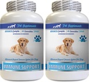 Vitamine di Supporto Immune - Cani Supporto Immune - Estratto di Radice Burdock Organico - Radice Burdock per Cani - Pillole Immune Cane, Supporto Immune per Cani probiotici, Integratore di Supporto Immune 2 Bot (120 Chews