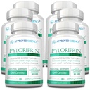 Approved Science Pyloriprin - Advanced Digestive Support for A Healthy Stomach - Zinc L-Carnosine, Probiotico, Broccoli Sprout, Deglicyrrhized Licorice - 360 Capsules - sei mesi di fornitura - Vegan