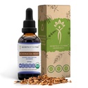Echinacea Root USDA Organic Tincture | Alcohol-Free Extract, High-Potency Herbal Drops, Immune System Health | Realizzato in 100% certificata Organic Echinacea Root (Echinacea Purpurea) 2 oz