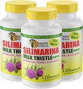 Naturals Sunshine Milk Thistle Complex. Supporto per la salute del fegato, disintossicazione, difesa antiossidante e potenziamento della funzione del fegato naturale. Promuove la salute digestiva. 600 mg. 120 capsule. Confezione di 3.