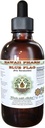 Blue Flag Alcohol-Free Liquid Extract, Bandiera Blu Organica (Iris versicolor) Dried Root Glycerite Hawaii Pharm Natural Herbal Supplement 2 oz
