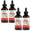 Estratto di Ashwagandha Maxx Herb – Assorbenti di tintura liquida di massima resistenza Meglio di capsule o polvere - per la Stamina, la Memoria e il supporto immunitario – 4 bottiglie, 4 Oz Ogni (240 Serve)