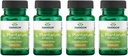 Swanson L. Plantarum - Integratore Digestivo Promuovere l'Equilibrio Gastrointestinale & Bowel Regolarità - Formula naturale per aiutare a ridurre il Bloating - (30 capsule vegetali) 4 Pack