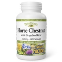 HerbalFactors by Natural Factors, Cavallo Chestnut, Supporto antiossidante per un sistema circolatorio sano e Vene con GrapeSeedRich, 60 capsule (60 porzioni)