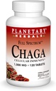 Erboristeria Planetaria Chaga Spettro completo, Migliorare l'immunità cellulare, 120 Conte (Pack of 1)