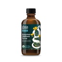 Gaia Herbs Bronchial Wellness Syrup - Integratore di supporto Immune per aiutare a mantenere la salute polmonare e aiutare a fornire il comfort per la gola di dolore occasionale - 5.4 Fl Oz (Up a 32-Day Supply)