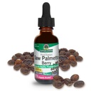 La risposta della natura ha visto Palmetto Berry Extract Integratore di erbe con alcool organico, 1-Fluid Ounce | Supporta la salute della prostata | Minimize Hair Loss | Mantiene la vescica sana