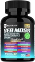 Moss mare con olio di semi neri, vitamina C, Ashwagandha e curcuma per il supporto immunitario & energia - 60 capsule vegane + scatola di pillole gratis