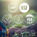 6 Funghi essenziali: Organic Reishi, Lion's Mane, Cordyceps, Healthy Immune Support, NSF-Certified & cGMP-Compliant.