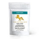 Addictive Wellness Cordyceps CS-4 Estratto di polvere - Pure & Potent per energia e resistenza, 1 Packet