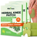 Wellnee Original Herbal Knee Patch - Wellknee Plaster for Knee Support & Muscle Pain - Massima resistenza per un Rilievo Temporaneo - Calore Adesivo realizzato con erbe naturali per il benessere (30 pads)