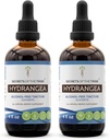 Segreti della Tribe Hydrangea Tincture Alcohol-Free Liquid Extract, Hydrangea (Hydrangea arborescens) Radice secca (2x4 FL OZ)