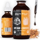 Hodgins Harvest Organic Lion’s Mane + Cordyceps Tincture | Realizzato con funghi coltivati sulla nostra azienda negli Stati Uniti | Dual Extract | Extra-Concentrato (4 fl oz)