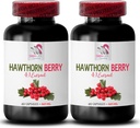 antiossidante di bacche di biancospino - HAWTHORN BERRIES ESTRATTO - capsule di estratto di bacche di biancospino, polvere di estratto di bacche, energia di bacca selvatica, pillole di energia di biancospino, balsamo di capelli 2 Bot 120 Capsule