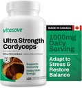 Vitasave Cordyceps Mushroom Supplement – 1000mg Ultra Strength – Energia Naturale, Endurance & Supporto Immune – Pure Vegan Capsule – Non OGM, Gluten-Free – 120 Count (60 Day Supply)