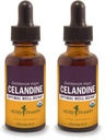 Estratto di liquido di celandina biologico certificato di herb Pharm - 1 oncia (pacchetto di 2)