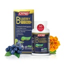 CATALO Bilberry Eye Formula con DHA Vegetariano - Supplemento per la cura degli occhi Con estratto di mirtoselect Bilberry, DHA da Algae, Lutein, Zeaxanthin, Estratto di semi di Uva e Zinco - 60 Capsule Vegetariani