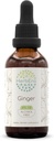 Erbe Ginger B60 Estratto di erbe senza alcool, Ginger superconcentrato (Zingiber officinale) 2 fl oz