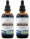 Segreti della Tribù Sangue Tintura Alcohol-Free Extract, Responsabilmente allevato Sangue (Sanguinaria Canadensis) Dried Root Tincture Supplement (2x4 FL OZ)