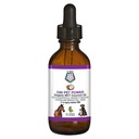 C60 Potenza per gli animali domestici - C60 in Olio di cocco MCT biologico, supporto benessere naturale per cani e gatti, Fullerenes puro carbonio, promuove l'invecchiamento sano, energia, &amp; mobilità - 2 fl oz Bottiglia