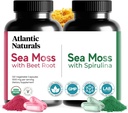Atlantic Naturals Sea Moss Superfood Bundle - Sea Moss con Beet Root & Spirulina Capsule - Supporto Difesa, Flusso di Sangue, Joint Health & Iron - 240 Capsule (2 x 120 ct)