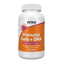 NOW Integratori, Gel Prenatali + DHA con 250 mg DHA per porzione, più Olio Borage (GLA), 180 Softgels