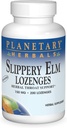 HERBALS Slippery Elm Lozenges, non aromatizzato, 200 conte