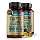 Shilajit Pure Himalayan capsule organiche con Moss marino irlandese, Ashwagandha, Rame, Radice di barbabietola - Integratore di minerali di trace di acido Fulvic per gli uomini e le donne - 90 conte, non OGM, senza glutine