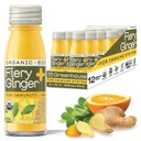 Greenhouse succo organico Fiery Ginger Wellness Shots 12-Count 60ml bottiglie di vetro, Vegan & Gluten-Free