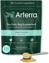 Adult Dog Powder Supplement & Food Topper – 46 Ingredienti per Gut, Immune & Brain Health – Multivitamina di longevità giornaliera per il benessere del corpo intero | 120 Scoops