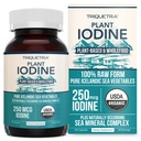 Integratore di iodio organico da Complesso di verdure marine, Forma alimentare e cruda - Iodine Plus Trace Mineral Complex – Contiene Purest Islandic Sea Kelp, Irish Moss & Bladderwrack (250 mcg)