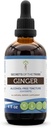 Segreti della Tribe Ginger Tincture Alcohol-Free Extract, Ginger (Zingiber officinale) Dried Root 4 OZ