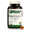 Lecitina di soia di processo standard - Integratore di supporto per la salute del cervello - Integratore alimentare intero con acidi grassi essenziali della lecitina di soia - 240 Softgels