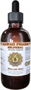Estratto di liquido di selfheal, Selfheal organico (Prunella Vulgaris) Tintura, Supplemento di erbe, Hawaii Pharm, Made in USA, 4 fl.oz