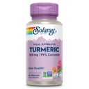 SOLARAY Supplemento currico 300 mg - Estratto di radice curcuma con 95% curcumina - Integratore di supporto congiunto per la salute e il comfort congiunti - Non OGM, Vegan, Gluten Free, 60-Day Guarantee, 60 Serve