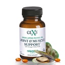 GLX3 Joint Support Extra Strength Omega-3 Supplement | Premium New Zealand Green Lipped Mussel Oil - Comfort, Flessibilità, Recupero del muscolo - ETA EPA DHA Omega 3 capsule supplemento di Haka Life