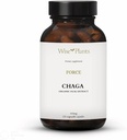 Chaga Mushroom Supplement. Dual Extract, Pure Fruiting Body, 30% Polysaccharides, 500 mg, 120 vegecaps (120-Day Supply). Può sostenere digestivo sano, funzione immunitaria e promuovere la salute del cuore.
