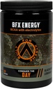 BFX Energy Pre Workout Powder Supplement (BlackBerry Lemonade) con BCAA, Electrolytes e Green Tea Leaf per la caffeina naturale, Intra e Post Workout Muscle Recovery, 30 Servings
