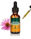 Estratto di liquido di radice di Echinacea organico certificato Pharm per il supporto del sistema immunitario, alcool di canna organica, 1 oncia (DECH01)
