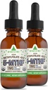 RawGuru Methylfolate 1mg+ Vitamin B12 - Organic Vegan Methylated B12 con Trace Minerals - Nano-Processed & Enhanced Liquid Formula - 300 Serve di Vegan Drops per 30 ml, Confezione da 2