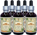 Lei Chuang Zi (Fructus Cnidii) Tintura, Organic Dried Fruits Liquid Extract (Brand Name: HerbalTerra, Proudly Made in USA) 5x2 fl.oz (5x60 ml)