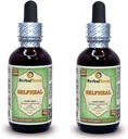 Selfheal (Prunella Vulgaris) Glycerite, Estratto liquido di alcool-FREE di erbe secche organiche (Nome: HerbalTerra, Proudly made in USA) 2x2 fl.oz (2x60 ml)