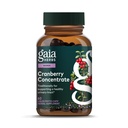 Gaia Herbs Concentrato di mirtillo - aiuta a mantenere la salute del tratto urinario - fatto con estratto di succo di frutta di mirtillo organico in capsule convenienti - 60 Vegan Liquid Phyto-Capsules (30-Day Supply)