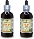 Xia Ku Cao, Prunella (Prunella Vulgaris) Tintura, Estratto liquido della polvere di spruzzo secca organica (Nome: HerbalTerra, Proudly Made in USA) 2x4 fl.oz (2x120 ml)
